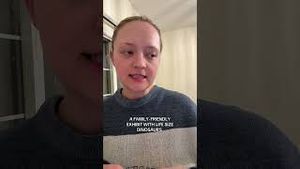 Video post by @thisboundlesslife on YouTube
