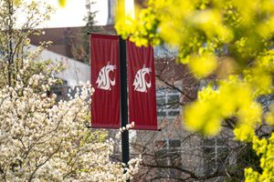 Image post by @wsupullman on Instagram