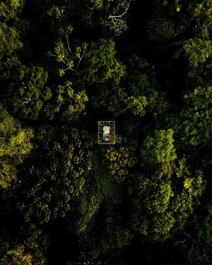 Image post by @edflorespe on Instagram