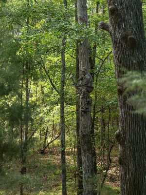 Image post by @realtreeoutdoors on Instagram