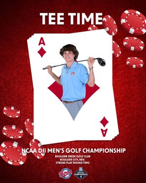 Image post by @fsc_mgolf on Instagram
