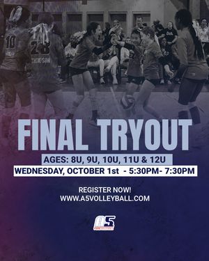 Image post by @a5vball on Instagram