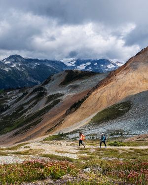 Image post by @whistlerblackcomb on Instagram