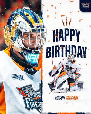 Image post by @flintfirebirds on Instagram