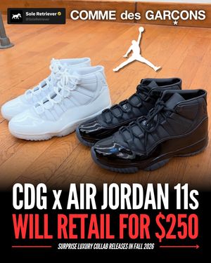 Image post by @soleretriever on Instagram