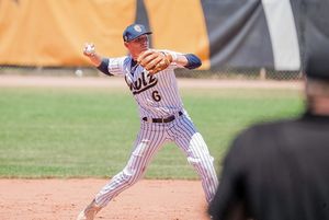 Image post by @OwlzNoCo on Twitter