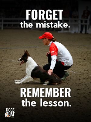 Image post by @susangarrettdogsthat on Instagram