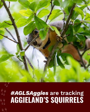 Image post by @aglifesciences on Instagram
