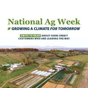 Image post by @farmcredit on Instagram
