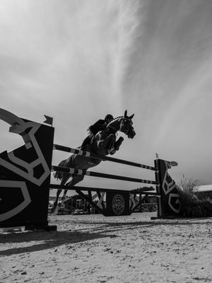 Image post by @greenwichpoloclub on Instagram