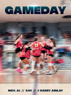 Image post by @lordsvolleyball on Instagram