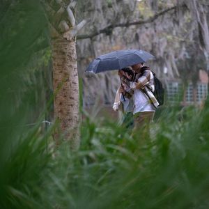 Image post by @ufstudentlife on Instagram