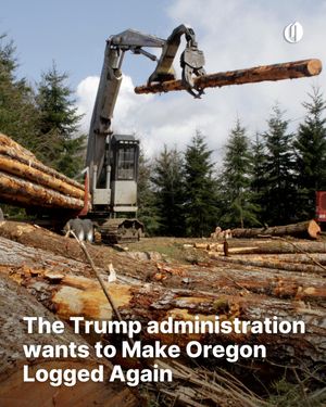 Image post by @theoregonian on Instagram