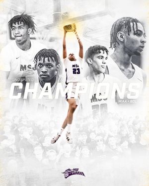 Image post by @MSJGaels on Twitter