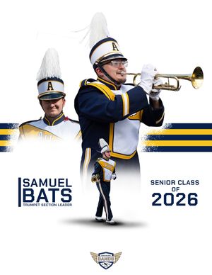 Image post by @arlingtonhsbands on Instagram