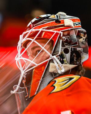 Image post by @AnaheimDucks on Twitter