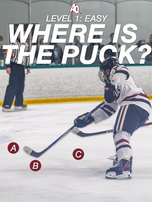 Video post by @aquinasd3hockey on TikTok