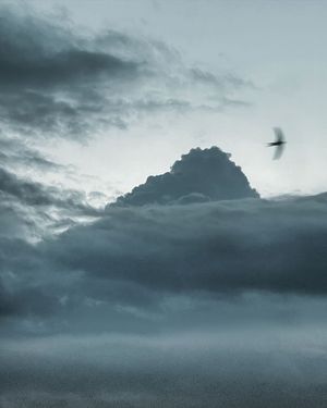 Image post by @kszczuka on Instagram
