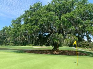 Image post by @kiawahresort on Twitter