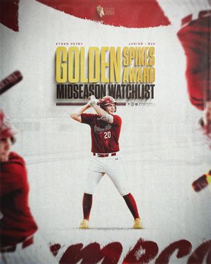 Image post by @gamecockbaseball on Instagram