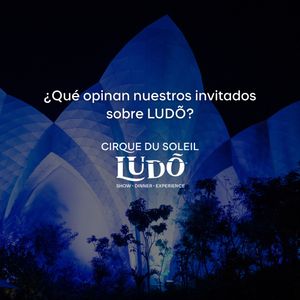 Image post by @ludo.cirquedusoleil on Instagram