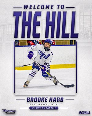 Image post by @stonehillwih on Instagram