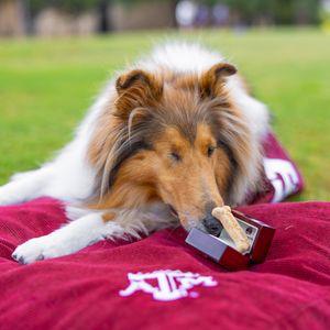 Image post by @missrevx on Instagram