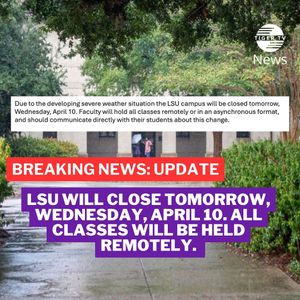 Image post by @lsutigertv on Instagram