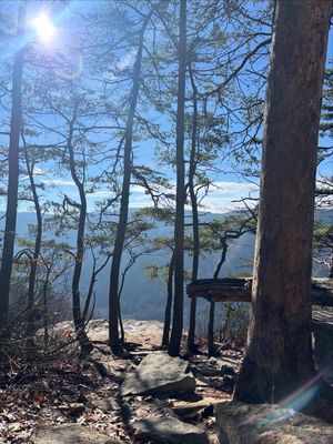 Image post by @marshallulife on Instagram