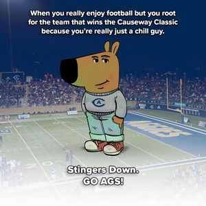 Image post by @ucdavisfootball on Instagram
