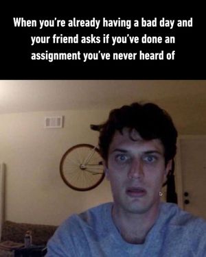 Image post by @9gag on Instagram