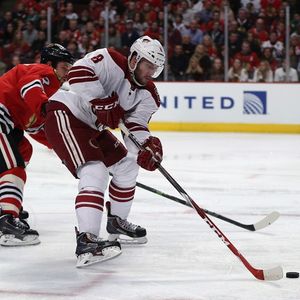 Image post by @arizonacoyotes on Instagram