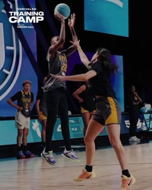 Image post by @hivebc on Instagram