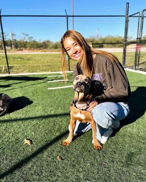 Image post by @acusports on Instagram