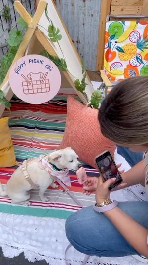 Video post by @ScoopSanDiego on Facebook