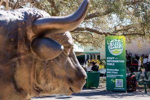 Image post by @usouthflorida on Instagram