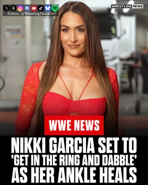 Image post by @wrestlingnewsco on Instagram