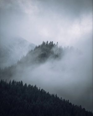 Image post by @shauns_shots on Instagram
