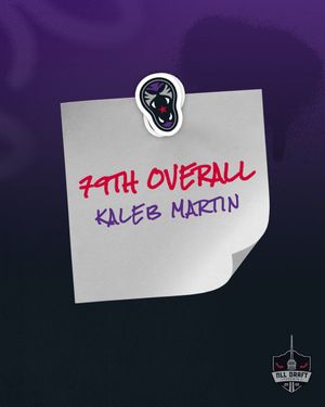 Image post by @PantherCityLax on Twitter