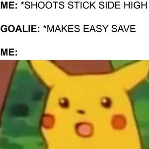 Image post by @sidewallzlacrosse on Instagram