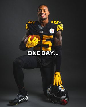 Video post by @steelers on TikTok