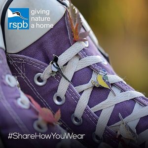 Image post by @rspb on Instagram