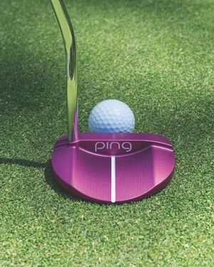 Image post by @pingtour on Instagram