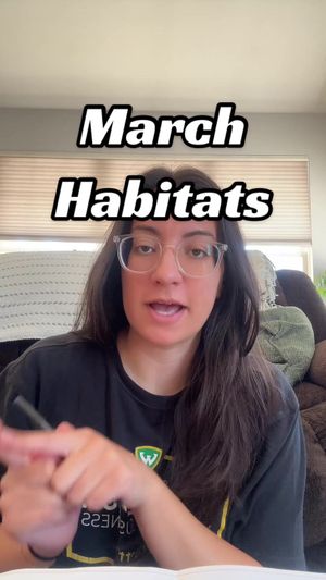 Video post by @raquel_escamilla on TikTok