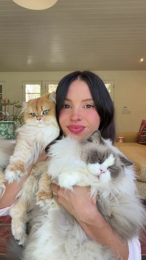 Video post by @lyssielooloo on TikTok