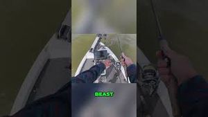 Video post by @lakeforkguy on YouTube