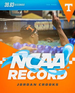 Image post by @vol_swimdive on Instagram