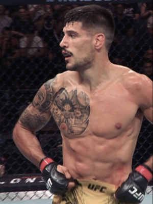 Video post by @ufc on TikTok