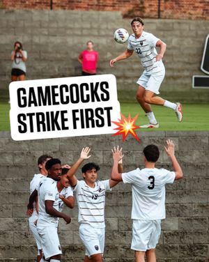Image post by @gamecockmsoccer on Instagram