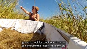 Video post by @mnhealth on Facebook